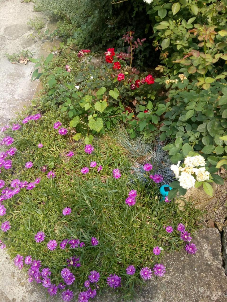 Beograd - Apartman "Gardos" Екстериор снимка
